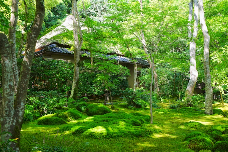 Gio-ji Temple