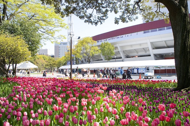 Yokohama Park