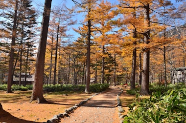 Konashidaira Camp Site