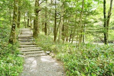 Dakesawa Marshland