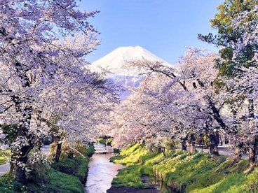 Mt. Fuji Tour