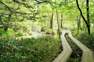 Dakesawa Marshland