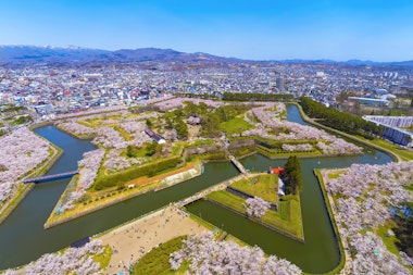 Goryokaku Park