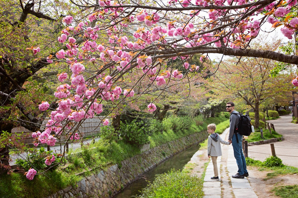Philosopher's Walk